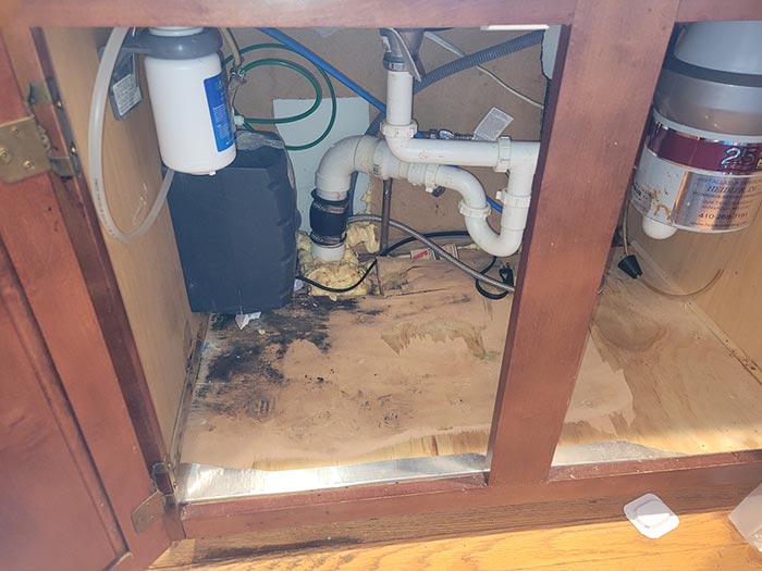 Residential Mold Removal Services