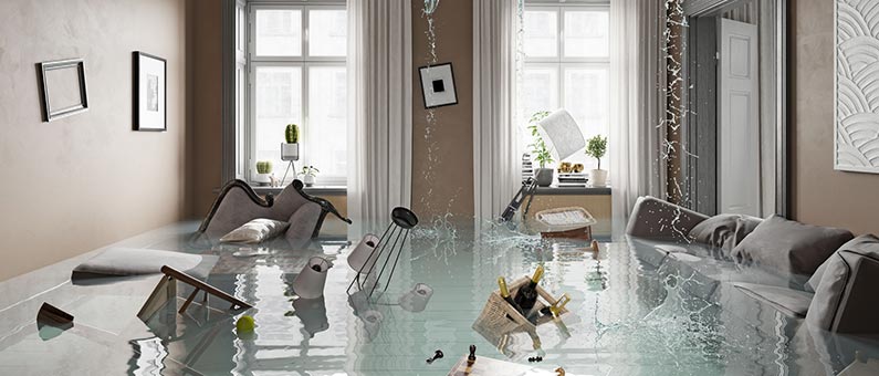 Damage Restoration Services Damage Restoration Services