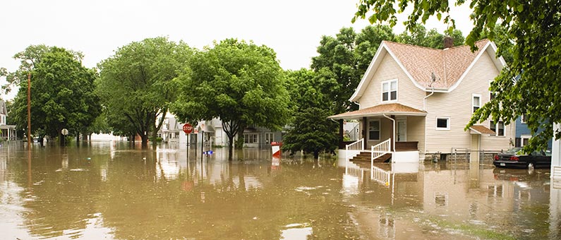 Flood Damage Cleanup Flood Damage Cleanup